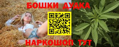 индика Боровичи