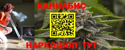 индика Боровичи